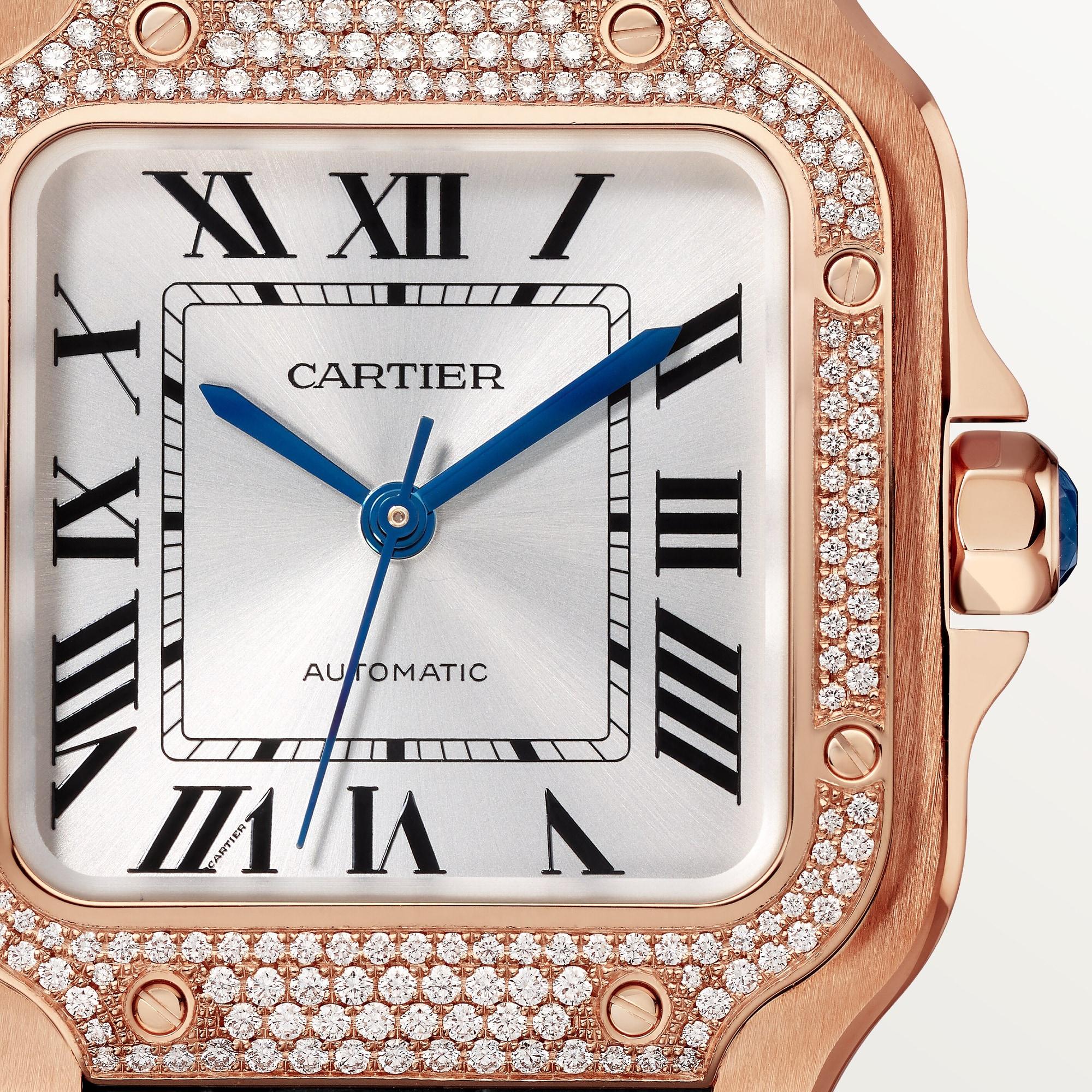 Maintaining the Authentic Look of Your Santos Watch Dupe