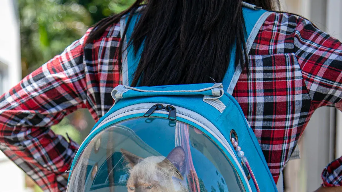 Top 10 Portable Pet Air Boxes for Stress-Free Travel in 2025