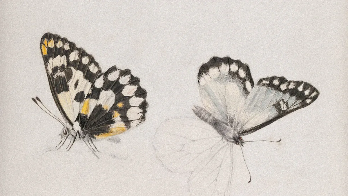 Inspiring Butterfly Drawing Ideas to Spark Your Sketchbook