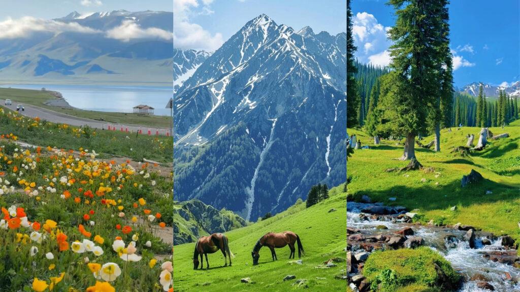 11-Day North Xinjiang Adventure: Explore the Enchanting Landscapes of Western China