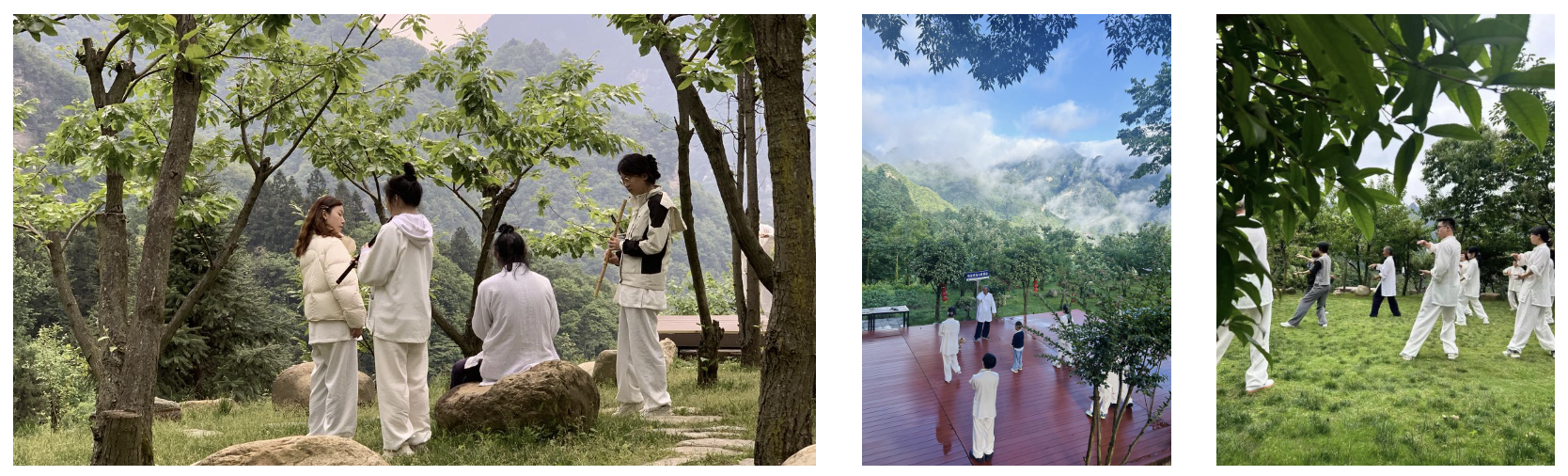 3-Day Taoist Retreat at Wudang Mountain: Tai Chi, Wellness, and Spiritual Exploration