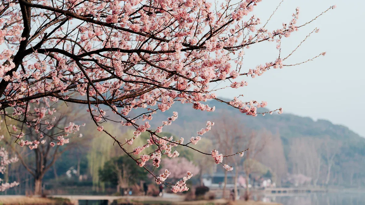 Spring