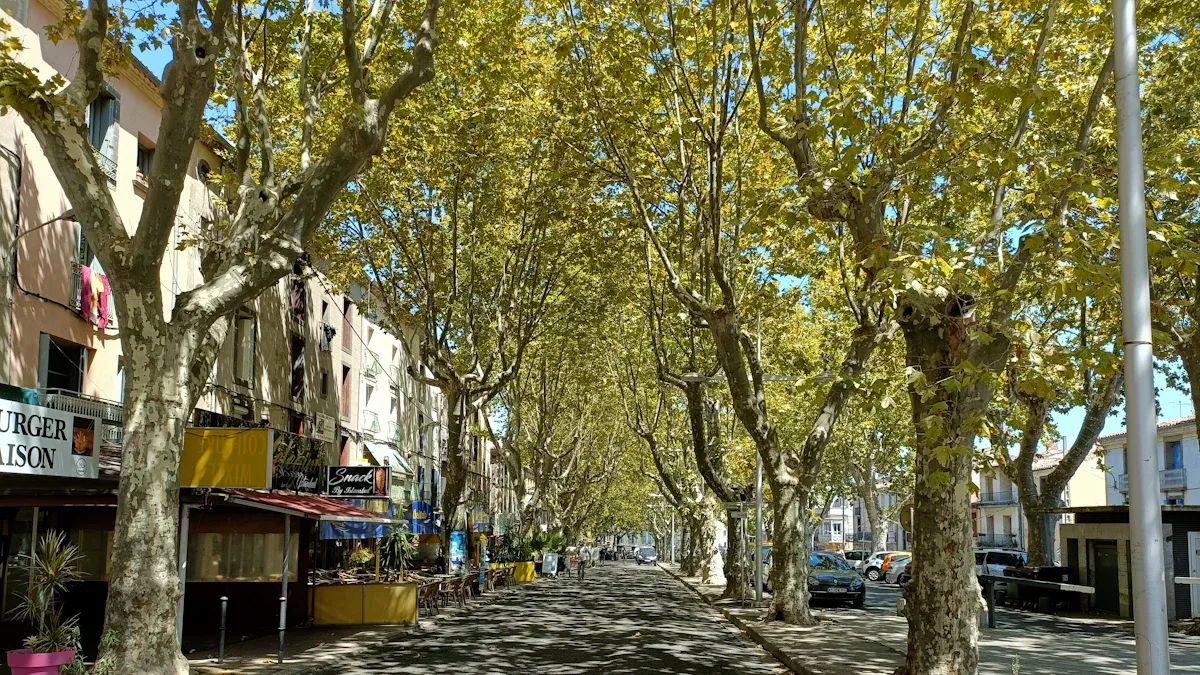 DIY French Concession Walking Tour