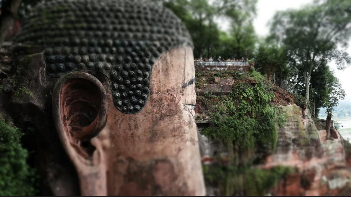 One-Day Tour: Chengdu Panda Base & Leshan Giant Buddha Experience