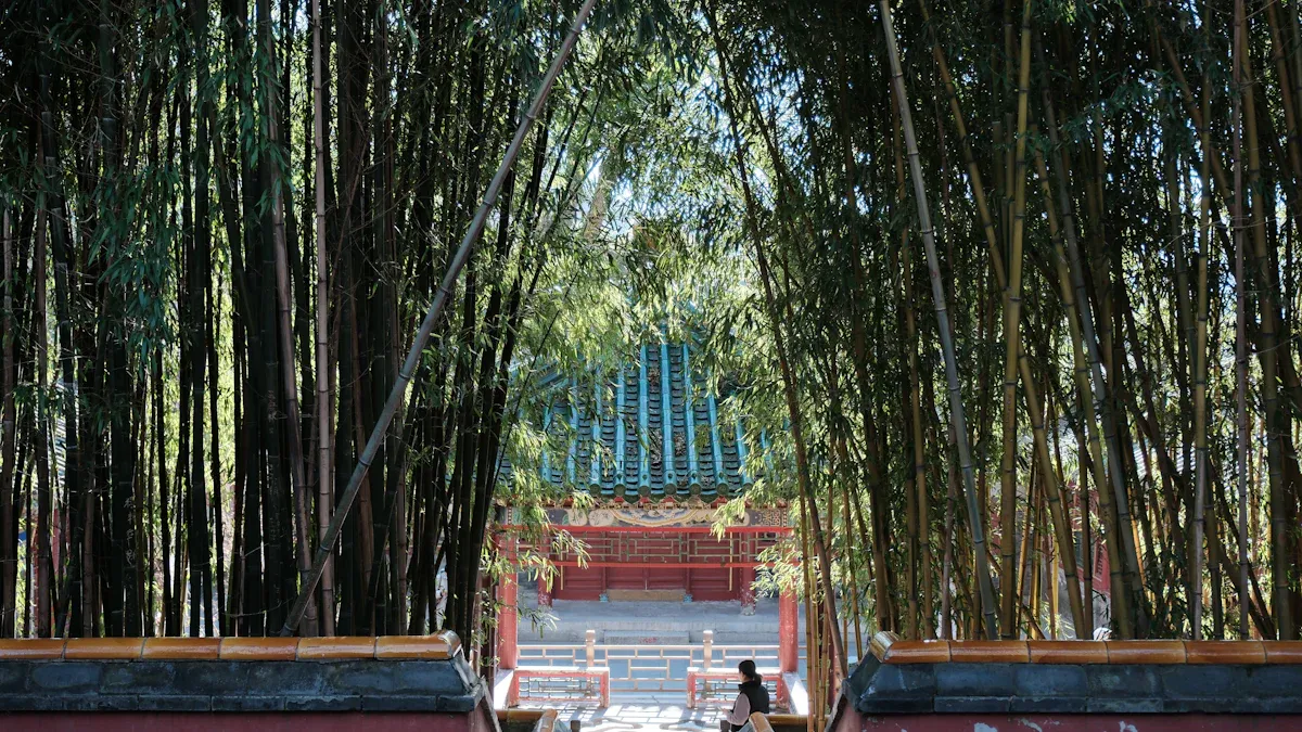 A Recommended Itinerary