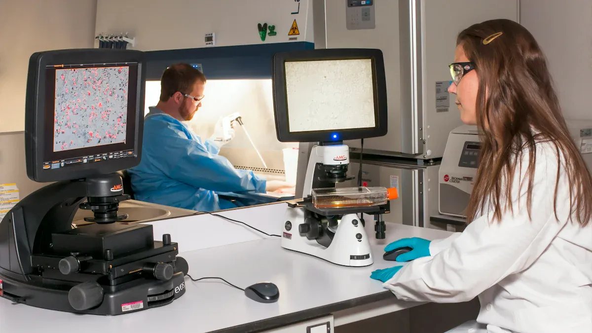 X-ray Fluorescence Spectrometer Setup