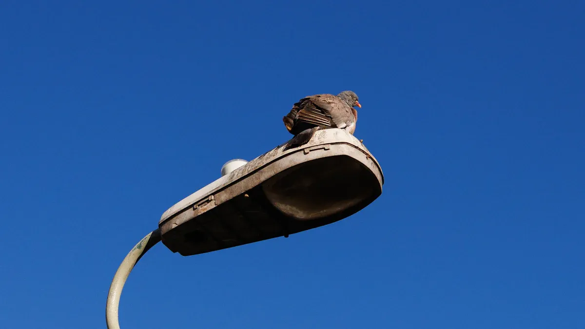 Anti-corrosion standards and testing methods for street lamp poles