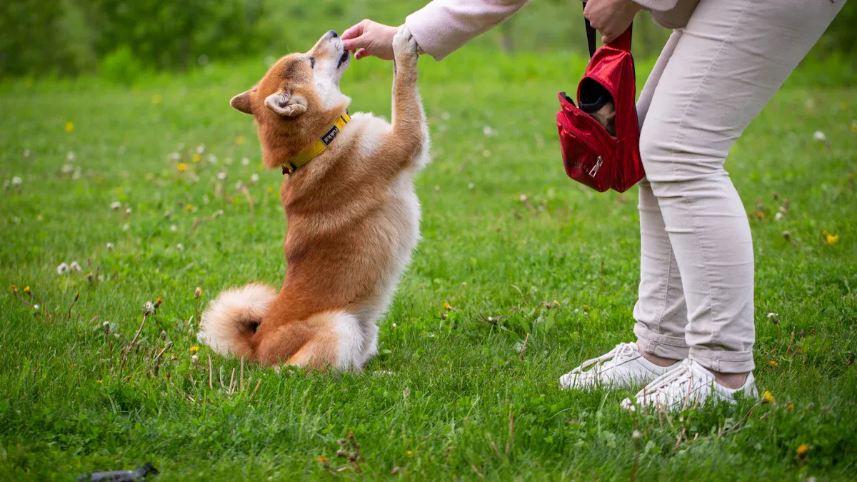 Controlled Walking and Exercise