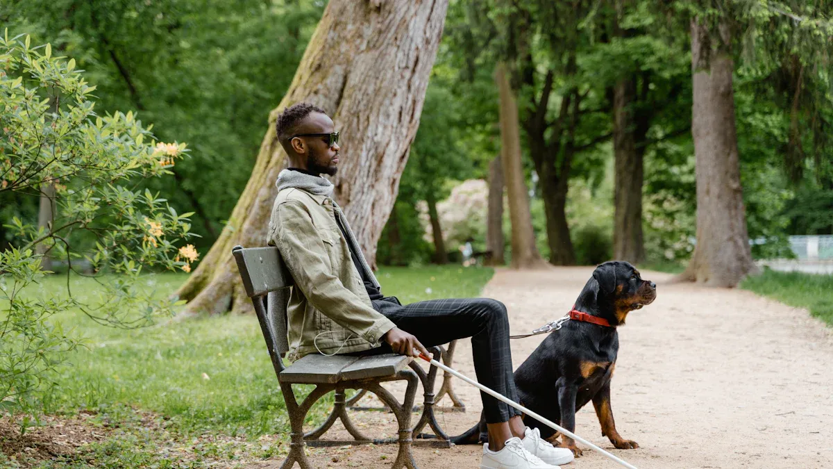 Integrating Hip Support into a Holistic Care Plan