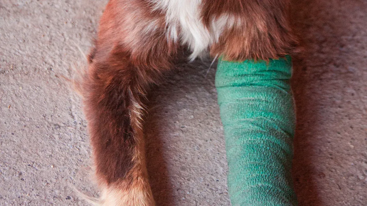 Types of Dog Leg Braces