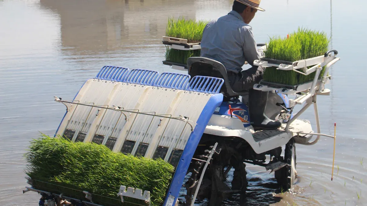 Processus de plantation et de transplantation