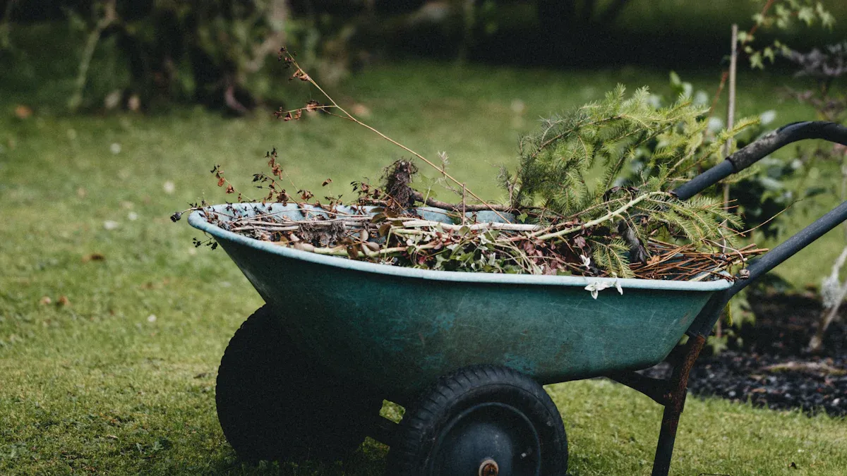 Wheelbarrow Spelling