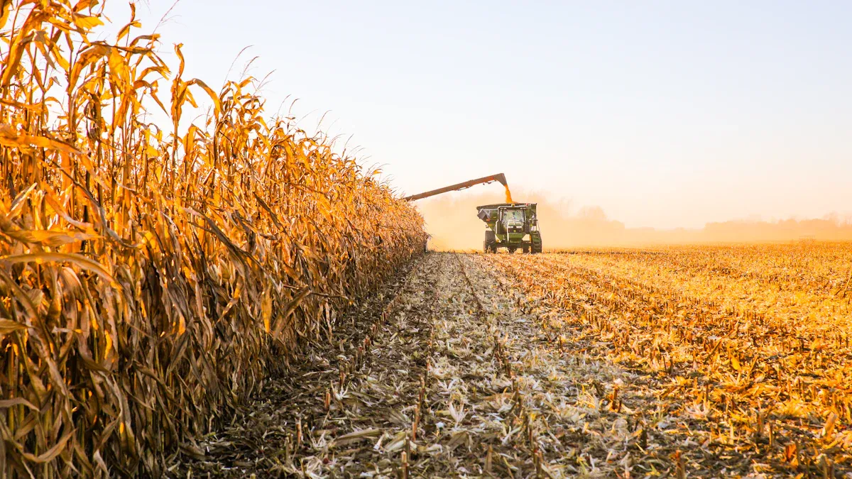 Combine Harvester Process