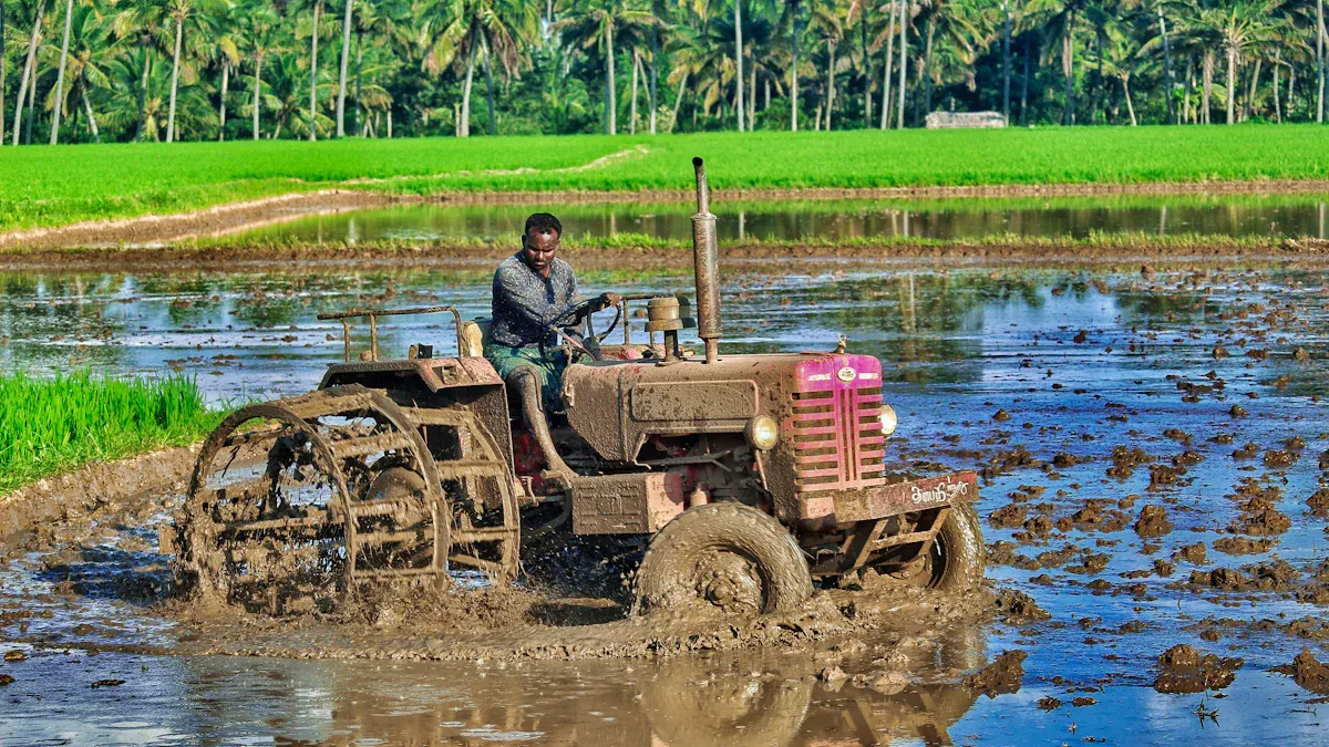 Coût du transplanteur de riz