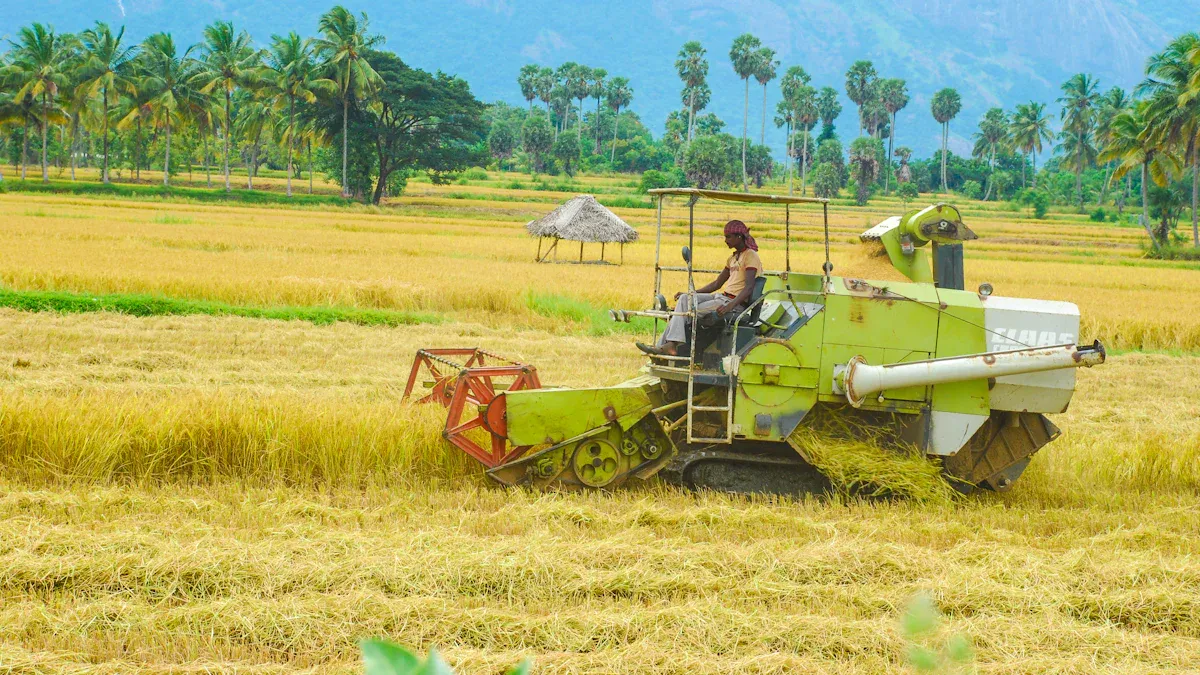 Types de transplanteur de riz