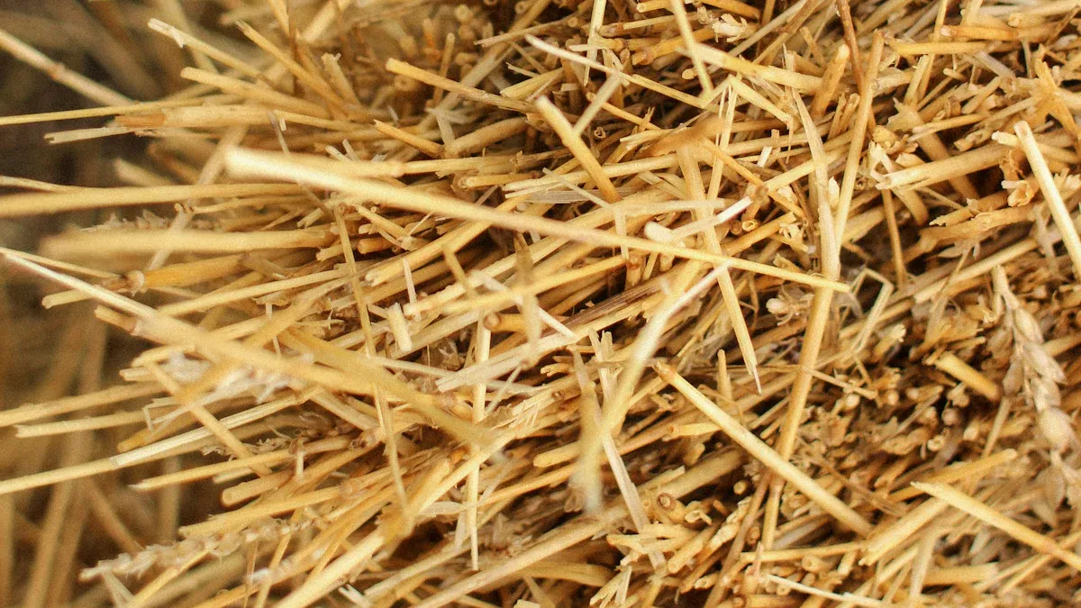 Hay vs Straw: Key Differences