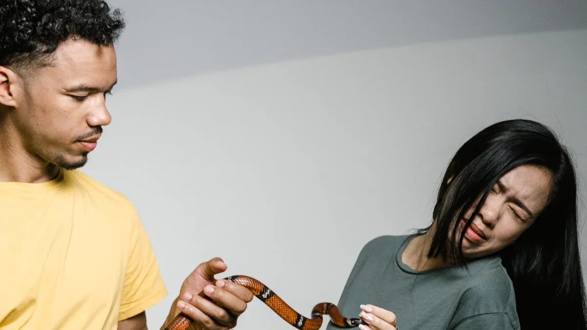 Exploration and Curiosity