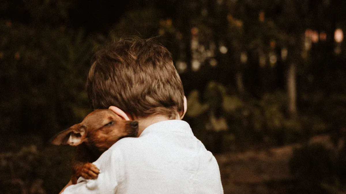 Rescue Stories and Emotional Healing