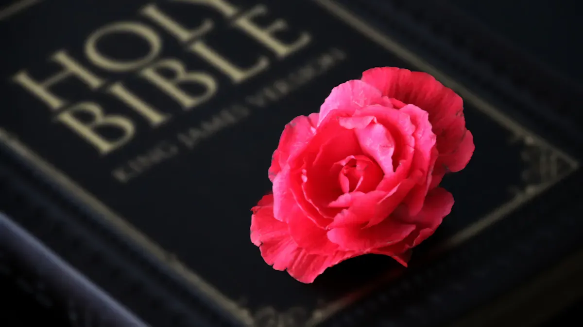 Spotlight: ROSE BOOK for Deep Study