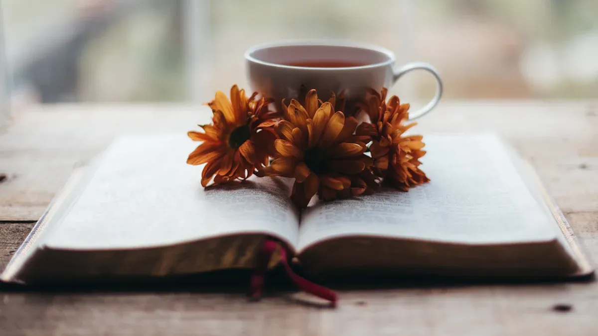 Recommended Bible Study Books for Spiritual Growth
