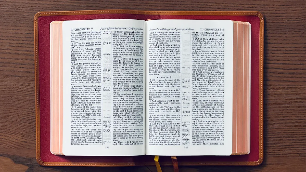 Bible Reading Plans and Comparison Guide