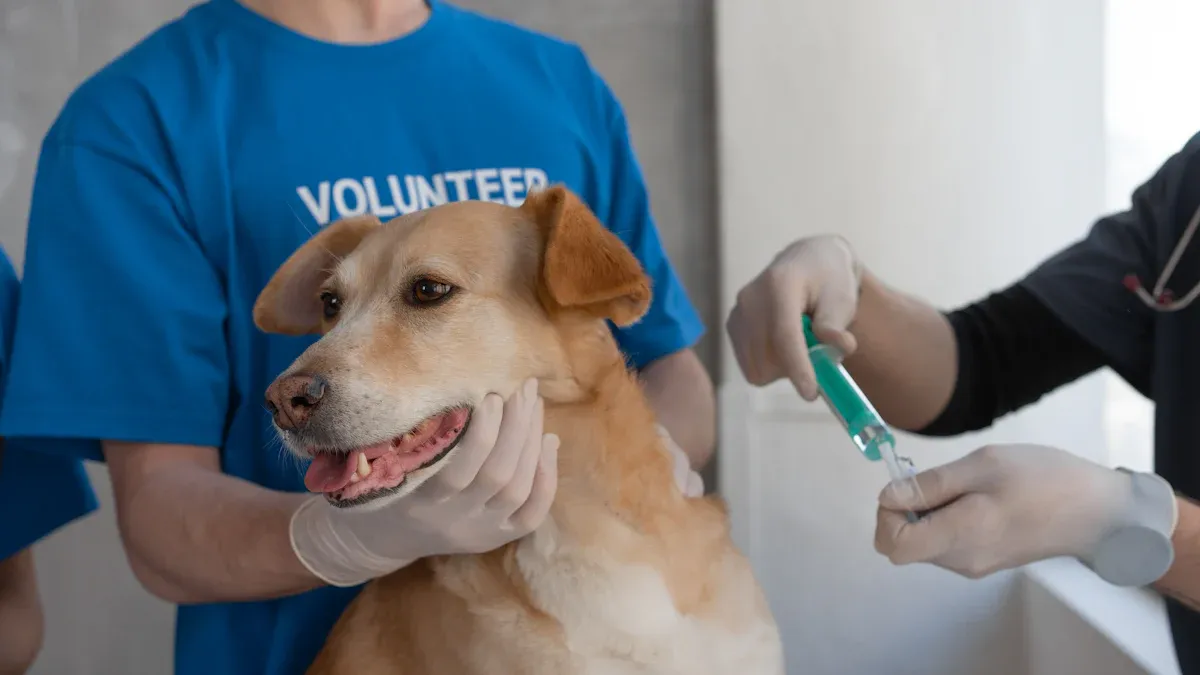 5 Essential AI Tools to Monitor Your Pet’s Health