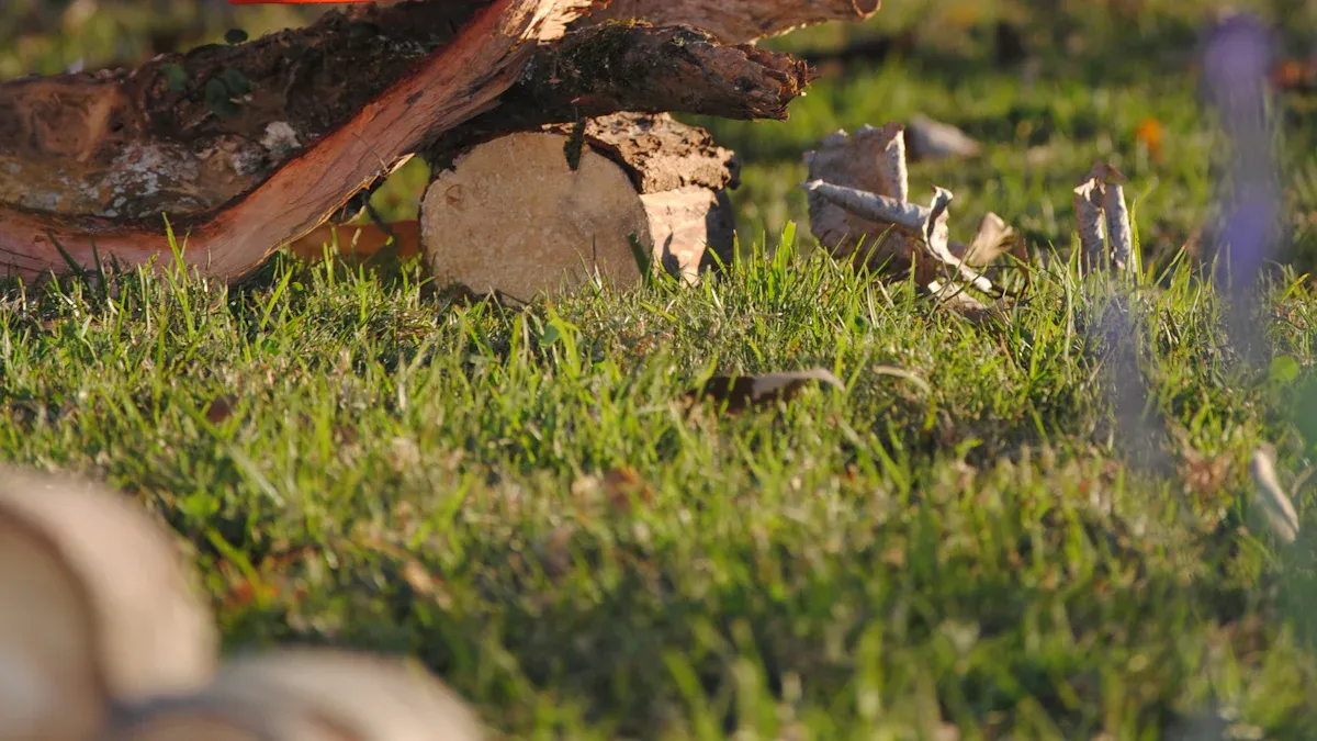 Key Benefits of Cordless Chainsaws