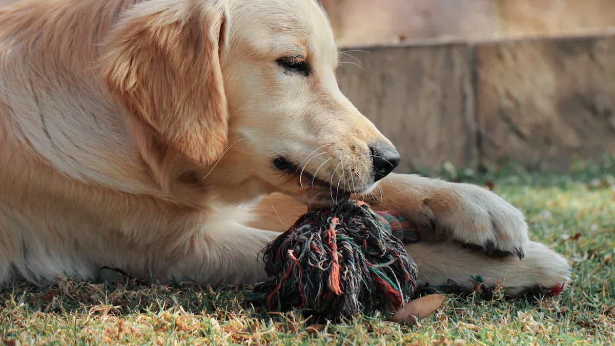 Demand for Dental Chews