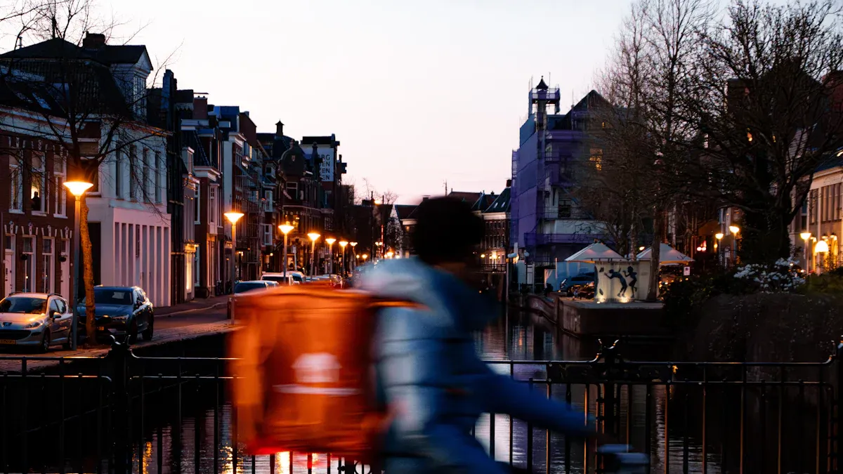 Last-Mile Delivery in the Netherlands