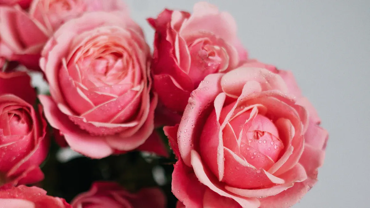 母親節花語懶人包 推介最適合媽媽的花束選擇