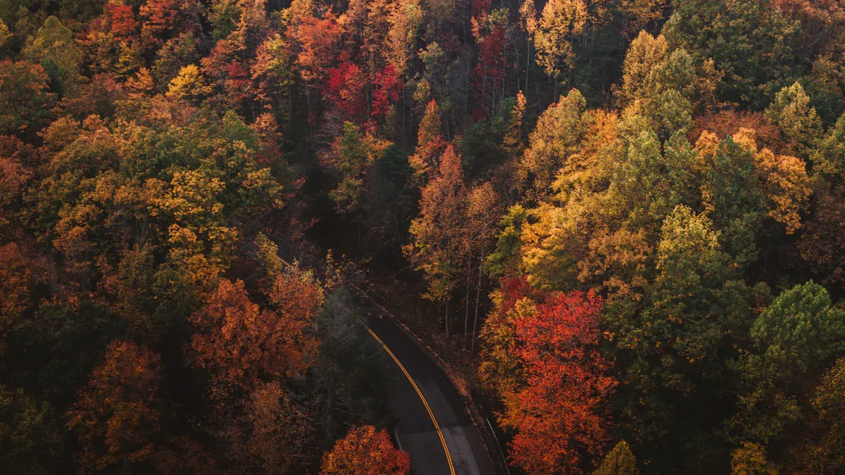 Best Perfume Notes: Fall