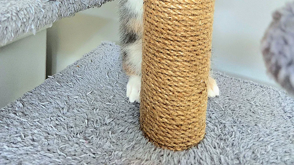 Top 12-Piece Cat Starter Kits Every New Cat Owner Needs