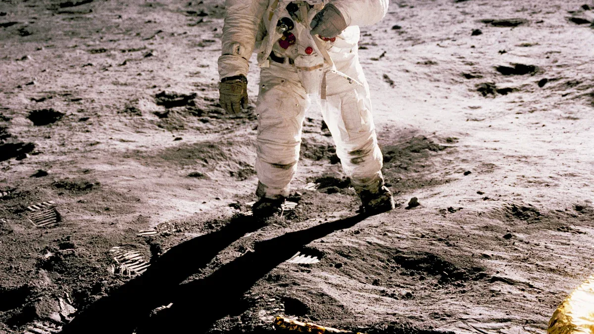 The Moon'
style=