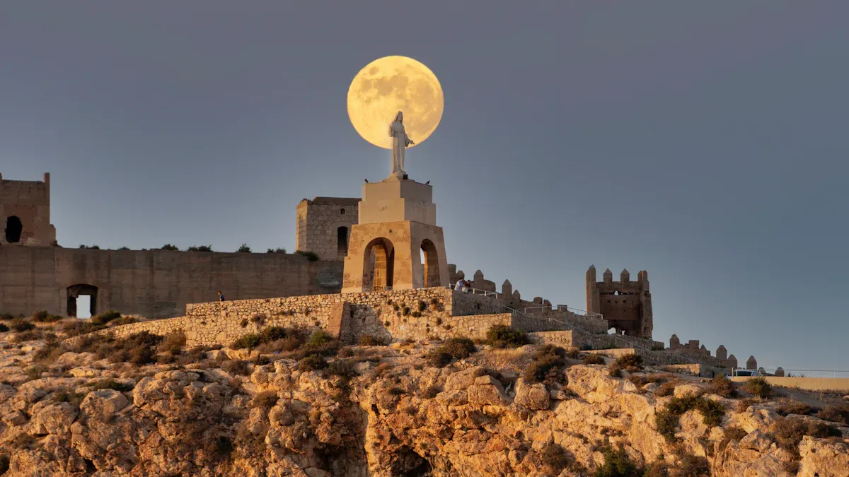 The Moon'
style=