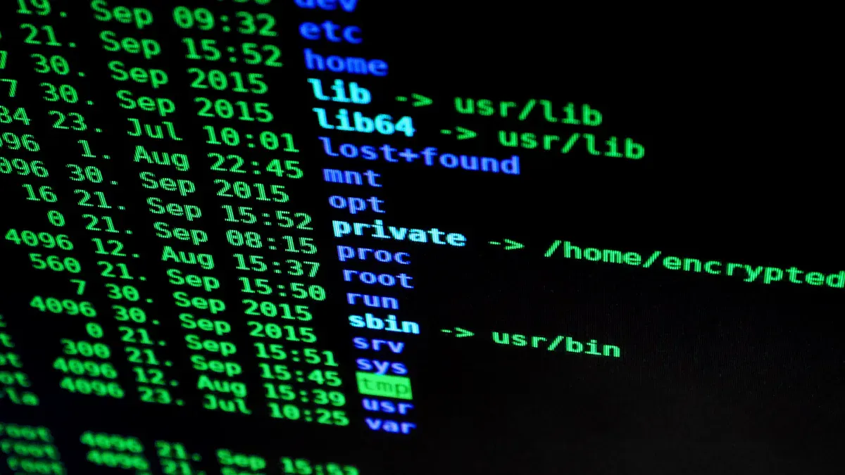 Preventing Unauthorized AI Access