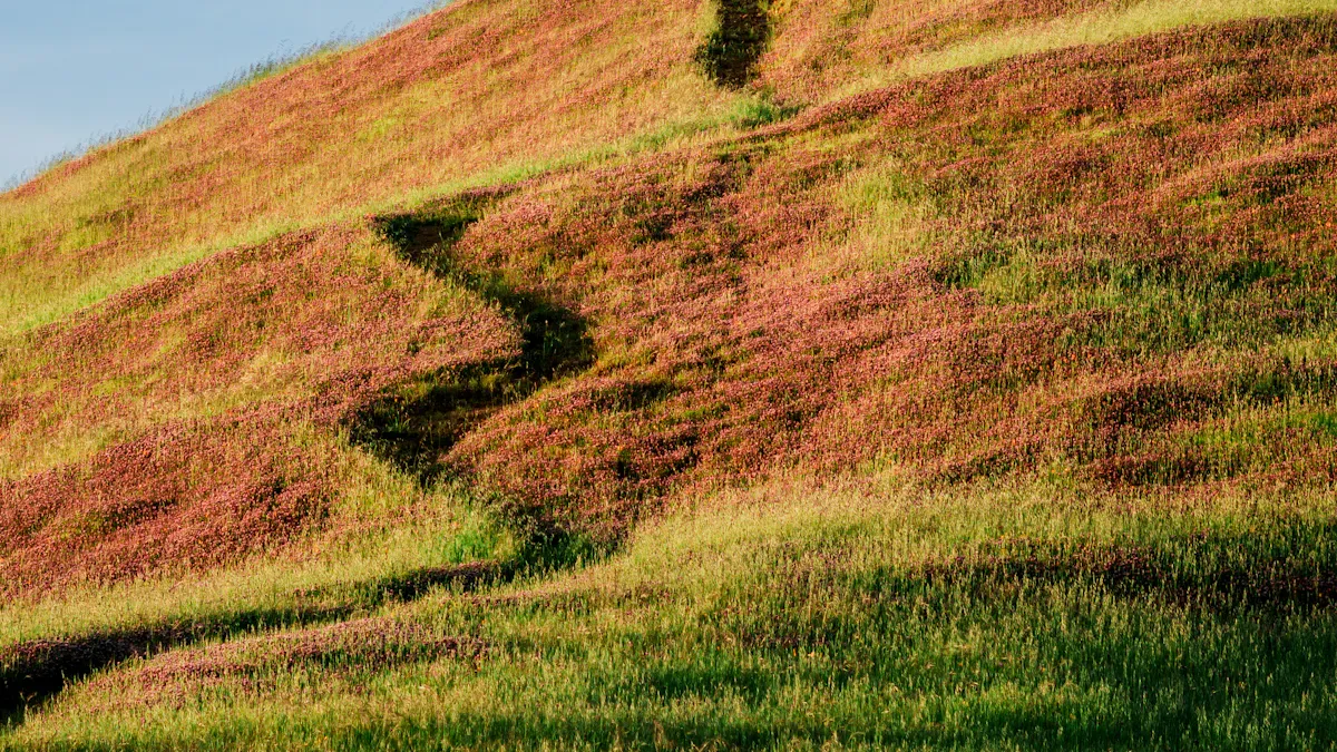 Real-World Examples and Lessons