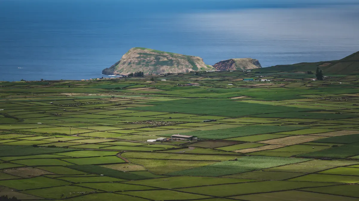 Built-In SharePoint Online Audit Tools