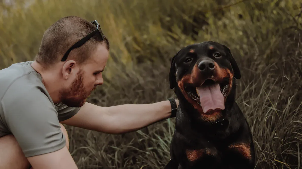 The Key Weaknesses of Rottweilers (Physical and Behavioral)