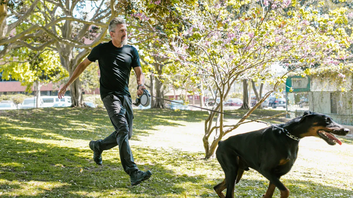 Exercise Needs for Staffy Puppies