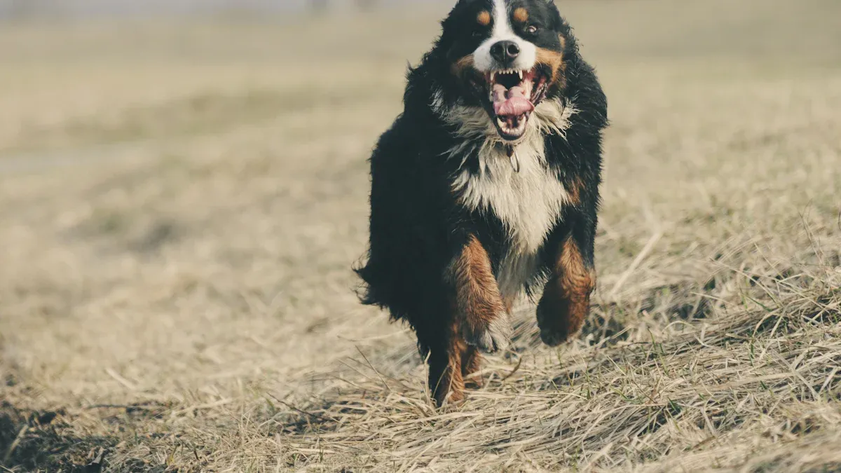 The Role of Exercise in the Calming Process