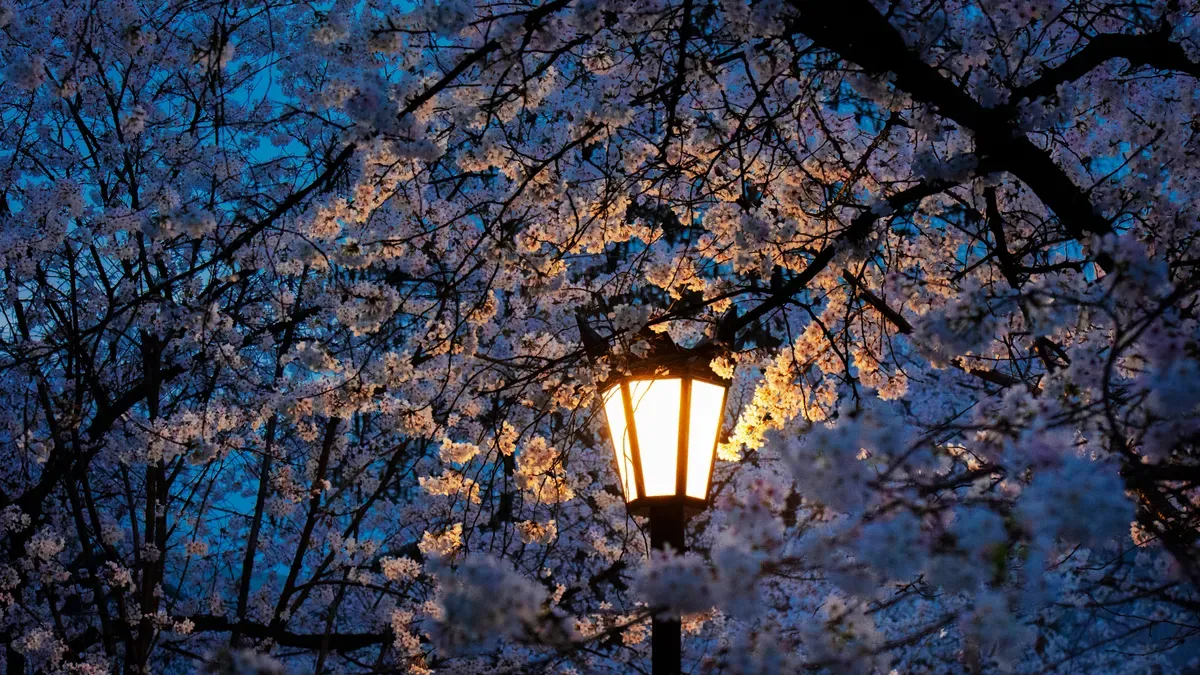 Part3: Wildlife-Friendly Road Lighting Solutions