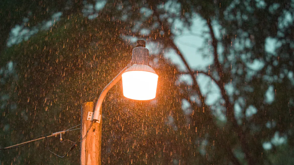 Part2: Lighting Needs & Ecological Impact