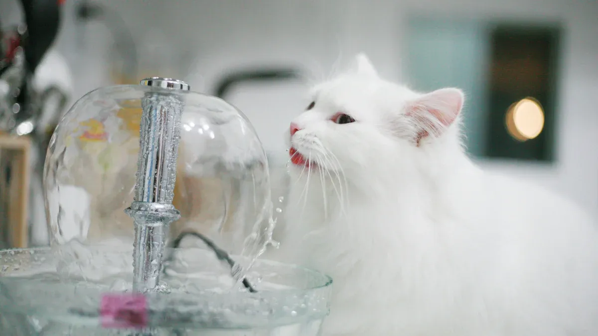 Automatic Cat Water Fountain Reviews