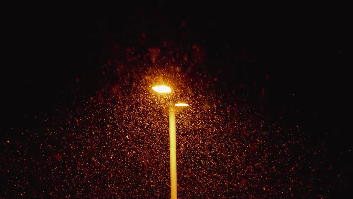 Insect Prevention with LED Flood Lights