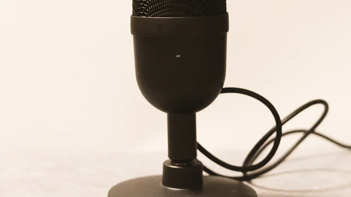 What Are IC Voice Processors and How Do They Work