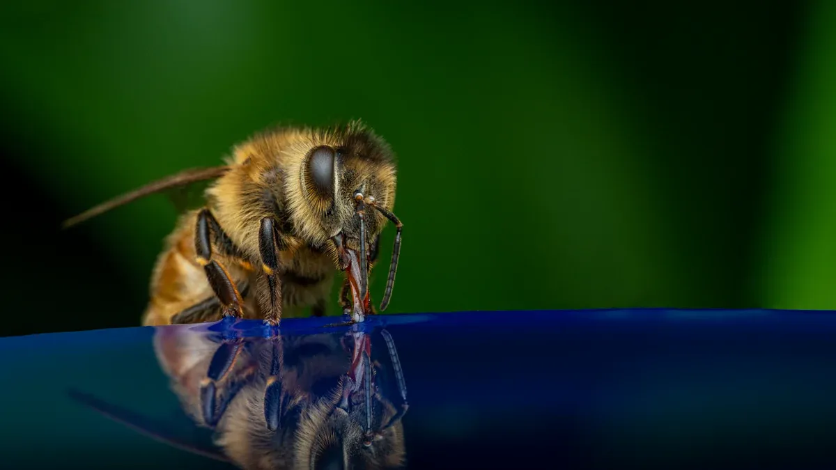Can men’s honey supplements really boost your confidence and drive?