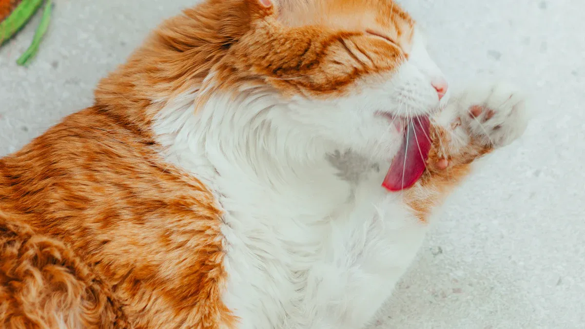 Grooming Kit