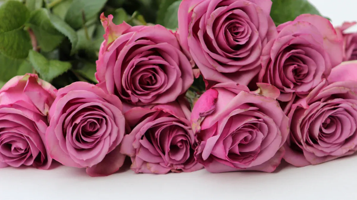 Eternal Flowers Explained