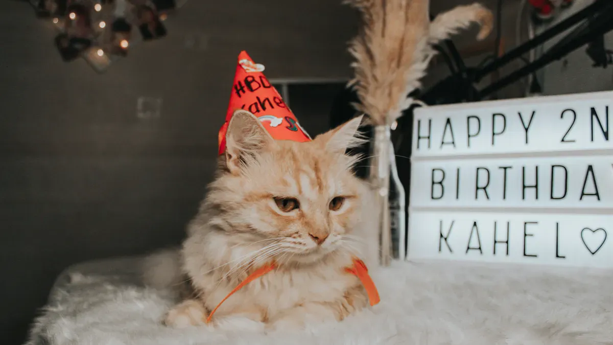 Top 10 Funny Birthday Card Ideas