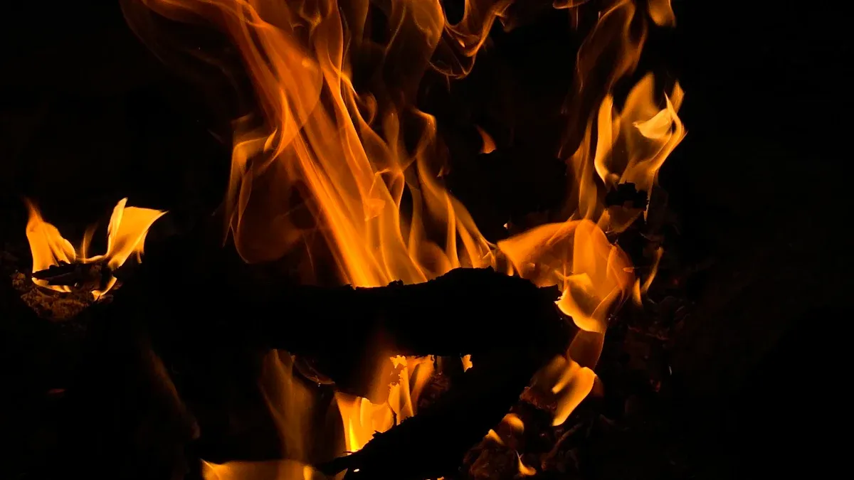 Fire Sign Pleasure
